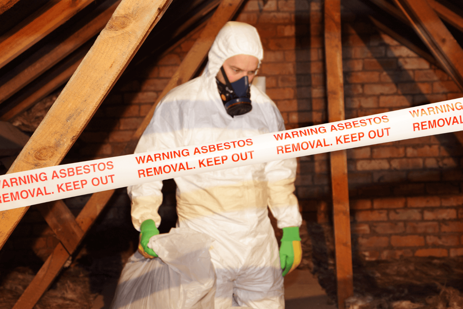 Asbestos And Mould Testing